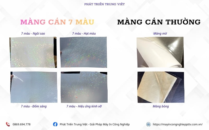 Lựa chọn giữa màng cán có hiệu ứng 7 màu hologram và màng cán bóng, cán mờ truyền thống